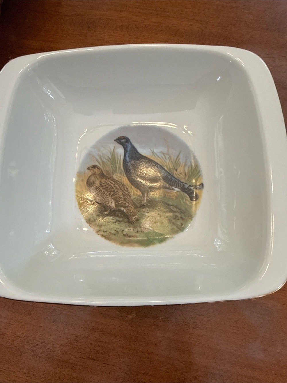 Naaman Israel Pheasent Game Bird  Bowl White with Gold Rim